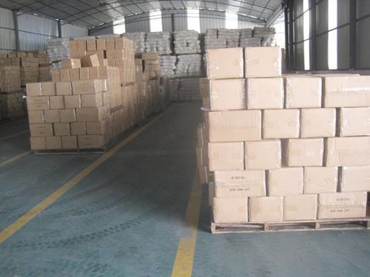 Cảng Thượng Hải Logistics Kho bãi Vận chuyển Kho bãi FOB / EXW / CIF