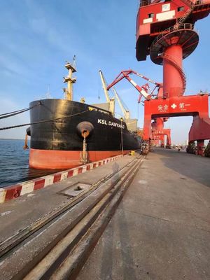 Công ty giao nhận vận tải đường biển quốc tế FOB Liên Vân Cảng Xingang đến Singapore