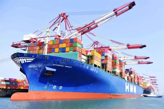 chất lượng Vận chuyển đường biển LCL nhanh Trung Quốc đến Phnom Penh Vận chuyển đường biển LCL nhà máy