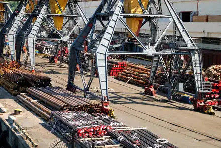 chất lượng Công ty giao nhận vận tải đường biển quốc tế FCL Trung Quốc đến Trung Đông nhà máy