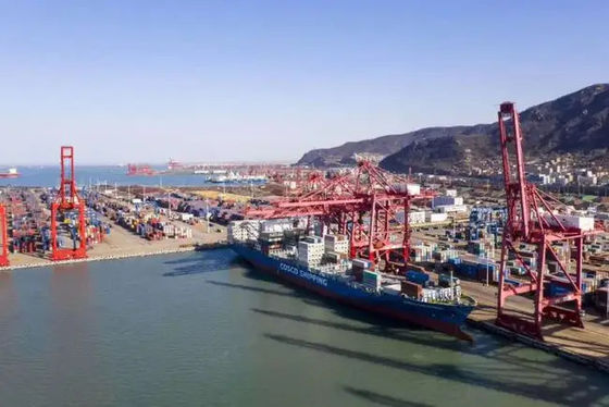 Giá tốt Trung Quốc đến Nga LCL Lô hàng Biển Dịch vụ nhanh cho chuỗi cung ứng trực tuyến