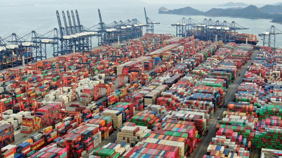 Giá tốt Cảng Hạ Môn Thông quan Trung Quốc Dịch vụ Khai báo Hải quan Trung Quốc trực tuyến