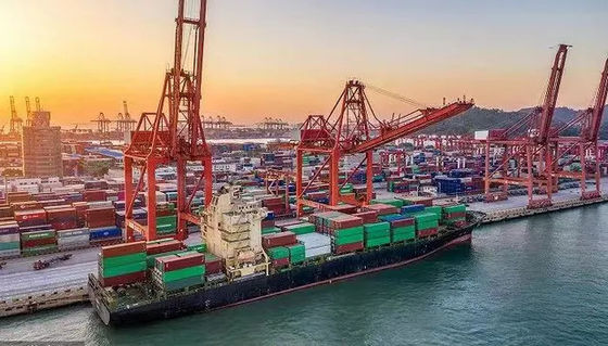 chất lượng Công ty giao nhận vận tải biển quốc tế 20GP Trung Quốc đến Biển Đen nhà máy